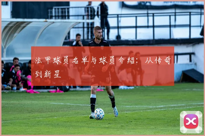 法甲球员名单与球员介绍：从传奇到新星