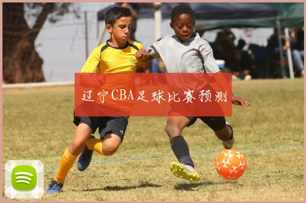 辽宁CBA足球比赛预测