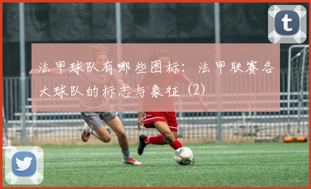 法甲球队有哪些图标：法甲联赛各大球队的标志与象征 (2)